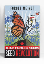 Load image into Gallery viewer, Forget-Me-Not Wildflower Seeds
