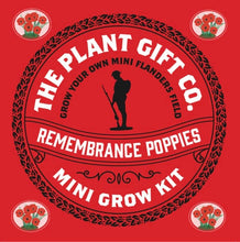 Load image into Gallery viewer, Remembrance Poppies Eco Mini Grow Kit