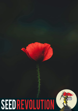 Load image into Gallery viewer, Field Poppy Wildflower Seeds
