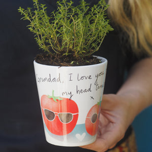 Grow your own tomato plant pot gift for dad, daddy or grandad