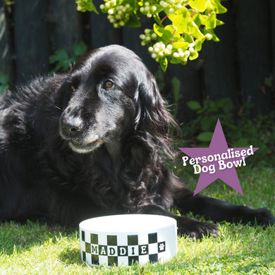 Personalised Dog Bowl