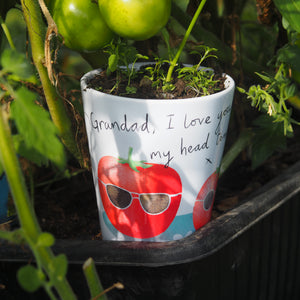 Grow your own tomato plant pot gift for dad, daddy or grandad