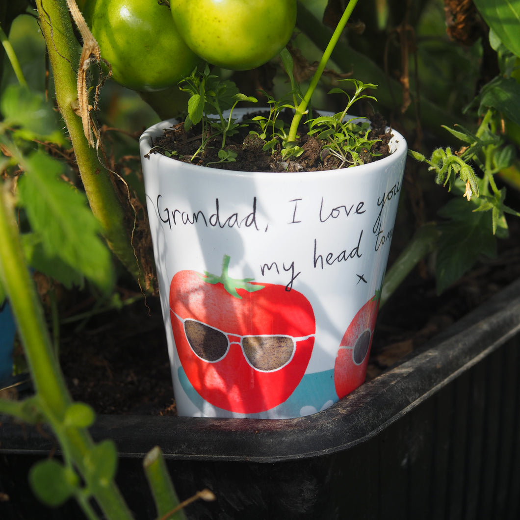 grandad plant pot Grow your own tomato plant pot gift for dad, daddy or grandad – claire close studio