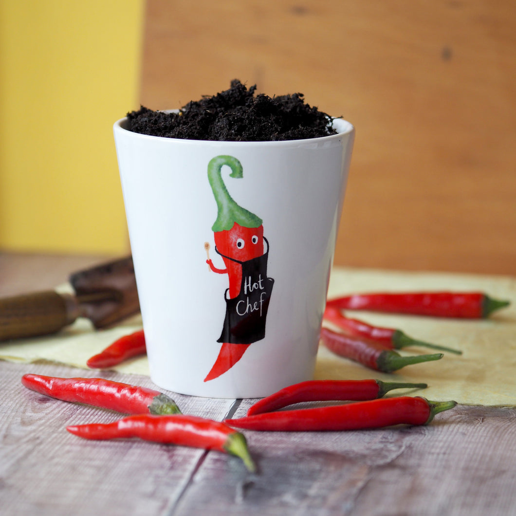 chilli plant gift for boyfriend or husband