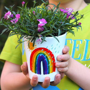 rainbow plant pot