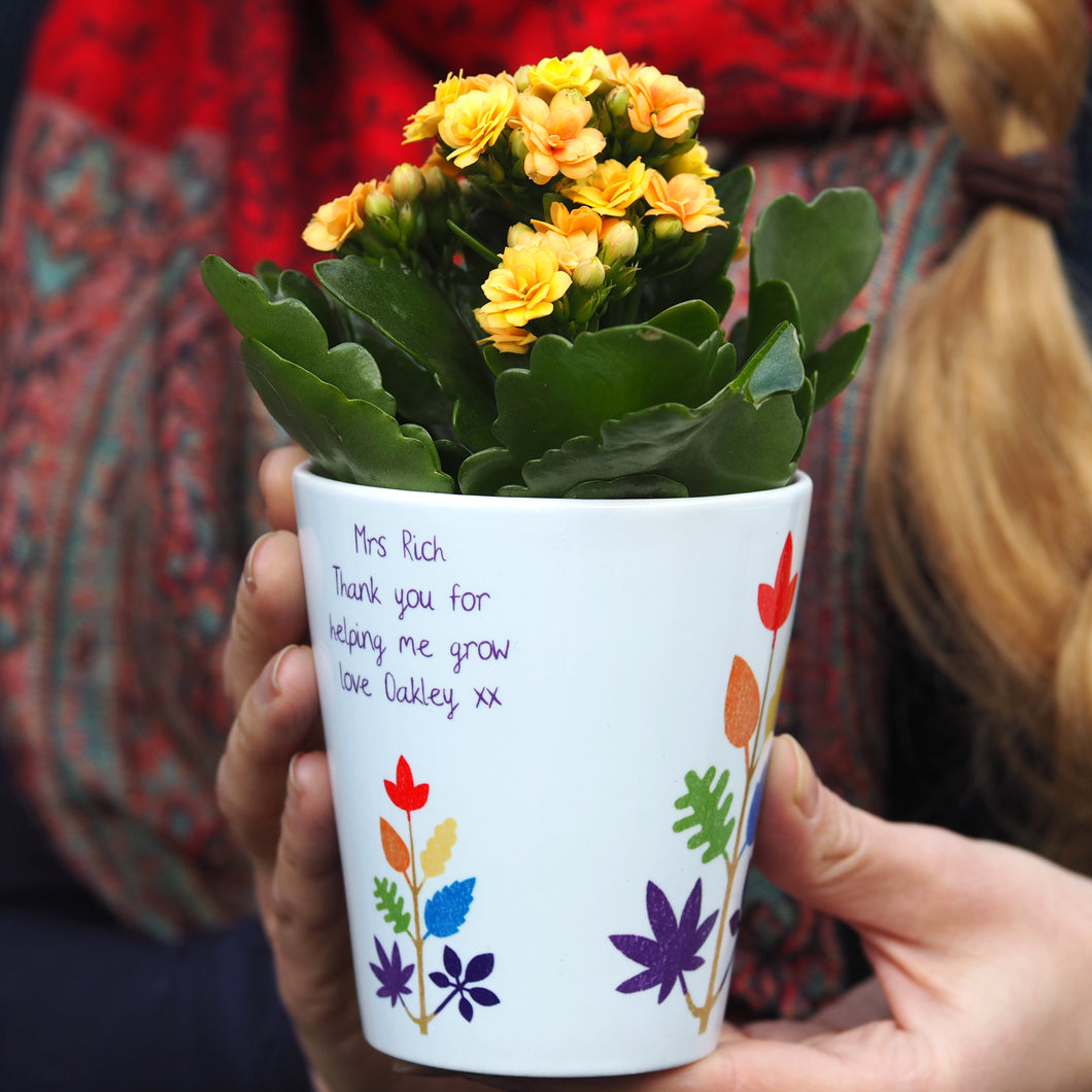 rainbow tree plant pot gift for teachers